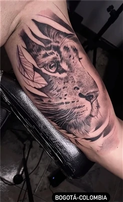 Vad betyder Half Tiger Tattoo?